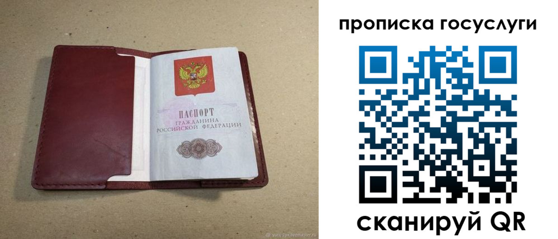 прописка поиск в Краснокаменске